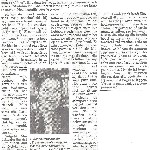 Telegraaf 26 mei 2014